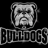 GLT32 SILVER GLITTER Thumbnail