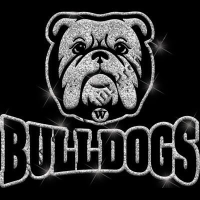 GLT32 SILVER GLITTER Thumbnail