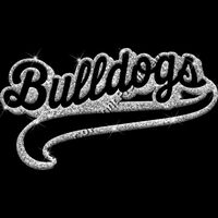 GLT78 SILVER GLITTER Thumbnail